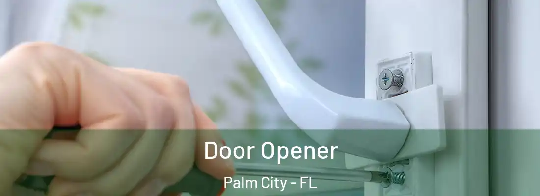 Door Opener Palm City - FL
