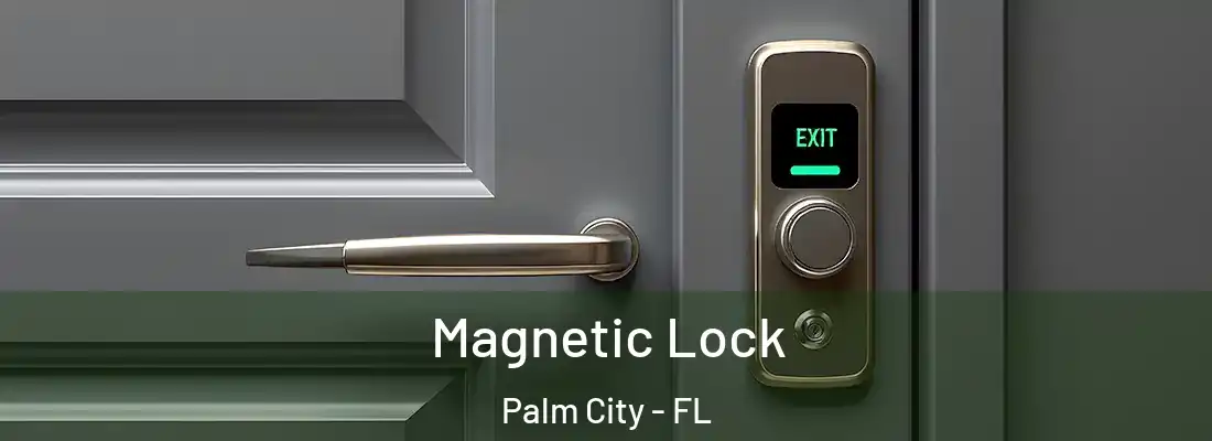 Magnetic Lock Palm City - FL